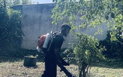 Entretien d’un jardin – Vic-sur-Seille