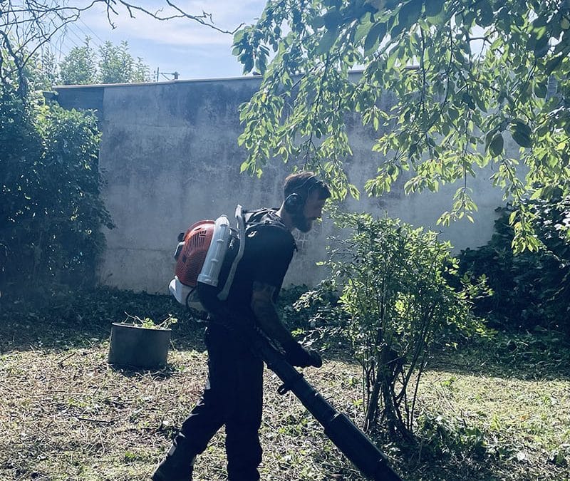Entretien d&rsquo;un jardin – Vic-sur-Seille