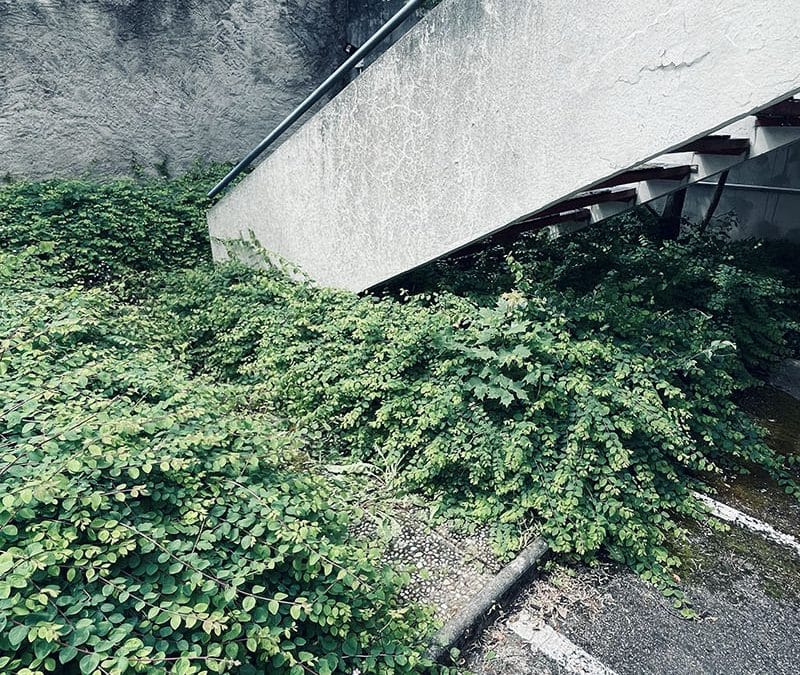 Entretien d&rsquo;un parking – Nancy